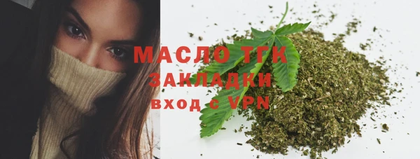 индика Аркадак