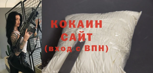 индика Аркадак