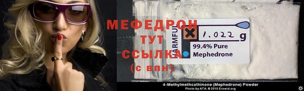 индика Аркадак