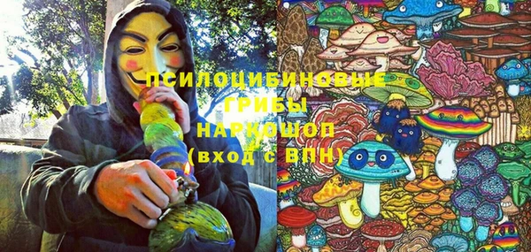стафф Баксан