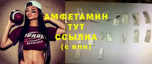 индика Аркадак