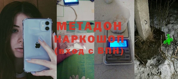 индика Аркадак
