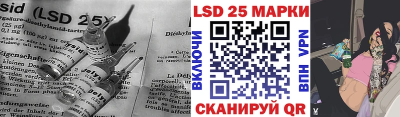 как найти   Судак  Лсд 25 экстази кислота 