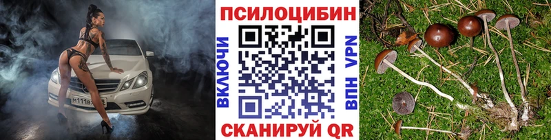 Галлюциногенные грибы Cubensis Судак